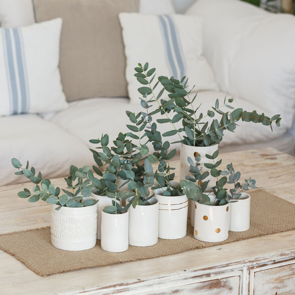 fotógrafo profesional