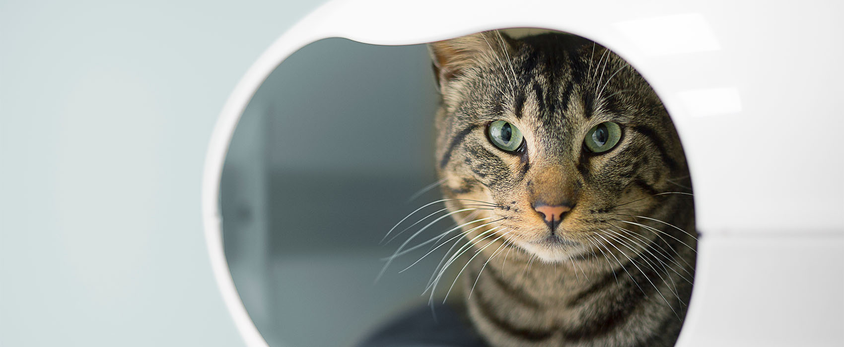 fotógrafo de imagen corporativa