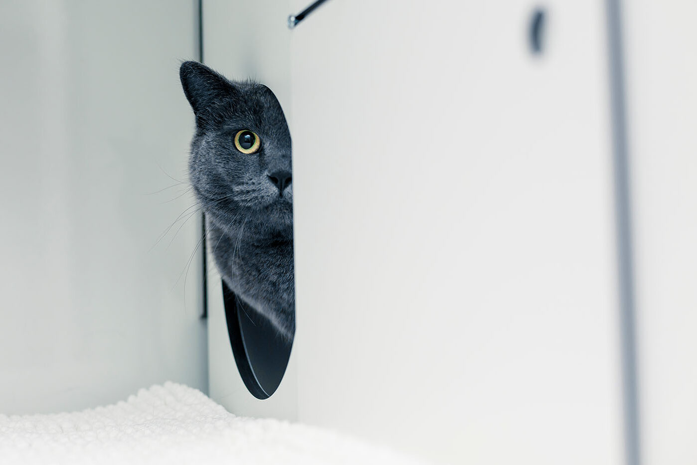 fotógrafo de imagen corporativa fotógrafo de imagen corporativa