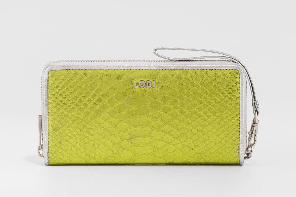 fotógrafo de bolsos